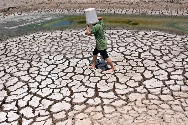 Un hombre llevando un cubo de plástico por el lecho agrietado de un estanque seco en Ben Tre, Vietnam. Un hombre llevando un cubo de plástico por el lecho agrietado de un estanque seco en Ben Tre, Vietnam. - Sputnik Mundo