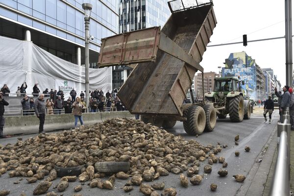 Los agricultores belgas exigen al Gobierno que imponga un embargo a los productos agrícolas procedentes de Ucrania y que revise el programa Pacto Verde del bloque europeo, cuyo objetivo es lograr la neutralidad de carbono en los países de la alianza para 2050.En la foto: agricultores protestan vertiendo una carga de patatas en un bulevar principal durante una manifestación frente al edificio del Consejo Europeo en Bruselas. - Sputnik Mundo