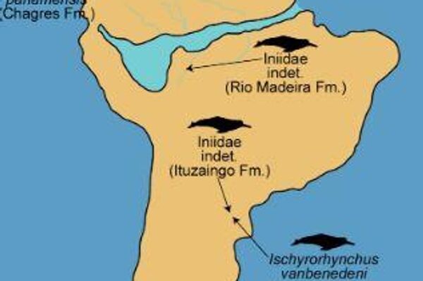 Biogeographical and paleobiogeographic distribution of Iniidae and Platanistidae through the Neogene. - Sputnik Mundo