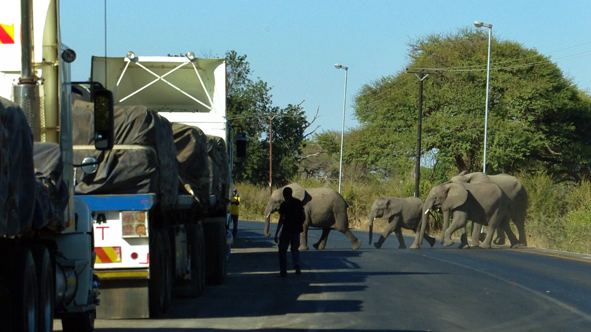 Elefantes cruzan la carretera principal que conduce a Zambia, en el norte de Botsuana (archivo)
