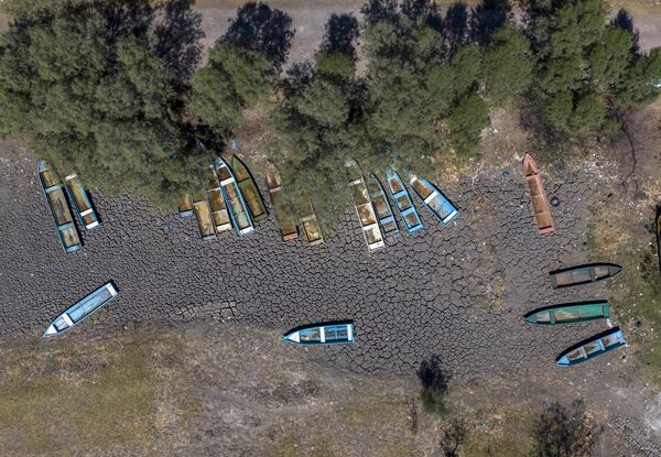 La sequía en México es visible en diversas regiones, como el lago de Cuitzeo, en Michoacán. - Sputnik Mundo