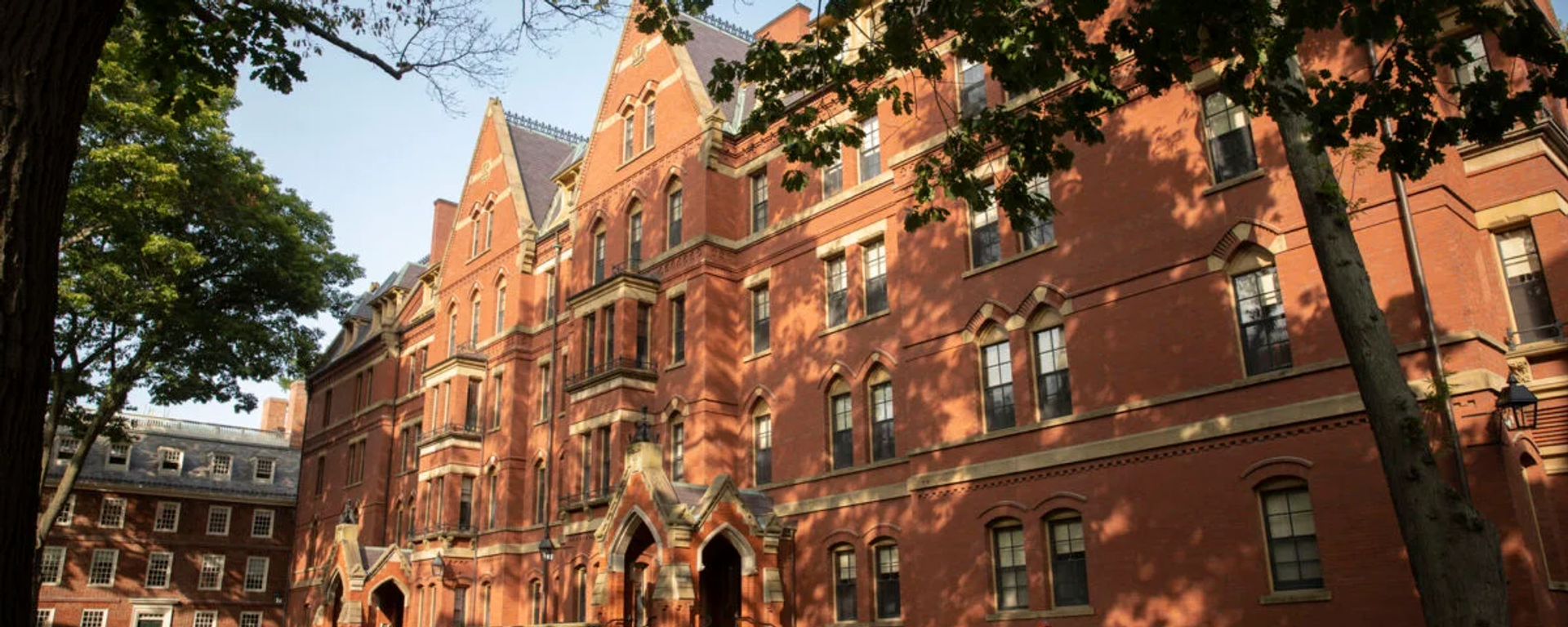 El campus de la Universidad de Harvard - Sputnik Mundo, 1920, 18.04.2025