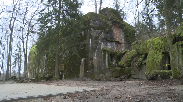 Restos encontrados en la guarida del lobo de Hitler - Sputnik Mundo