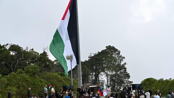 Actos de apoyo a Palestina en Venezuela - Sputnik Mundo