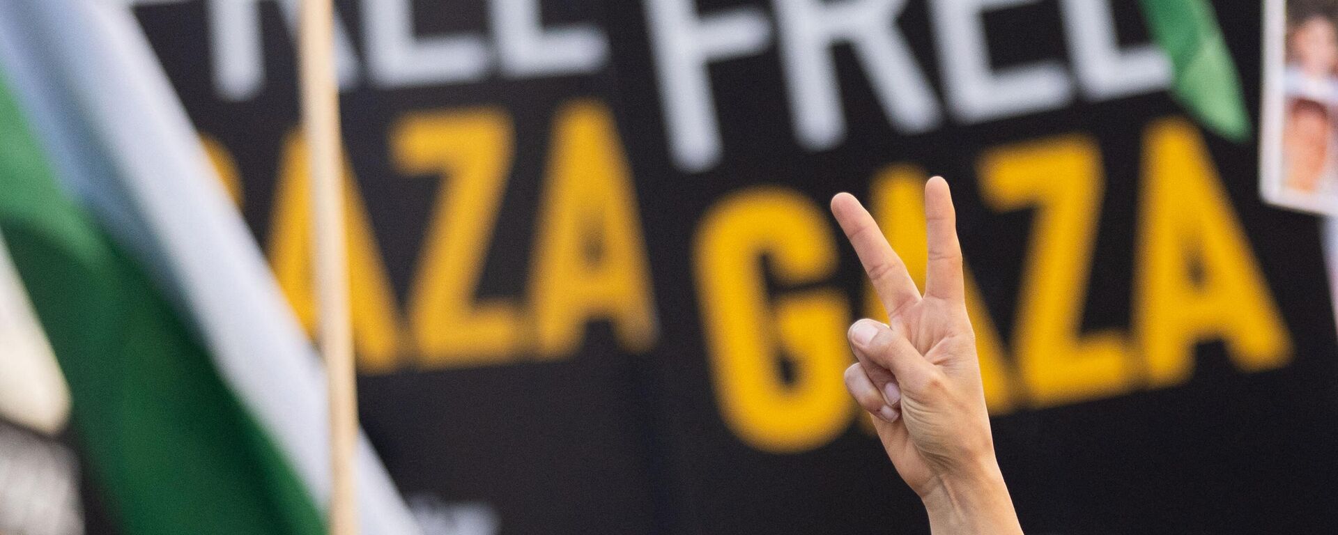 Protestas propalestinas Protestas propalestinas - Sputnik Mundo, 1920, 17.05.2024