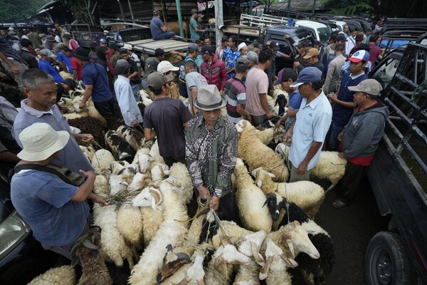 Vendedores de ovejas y cabras en vísperas del Eid al-Fitr, una de las más importantes festividades del islam, en un mercado de ganado en Chonggol, Java Occidental, Indonesia. - Sputnik Mundo