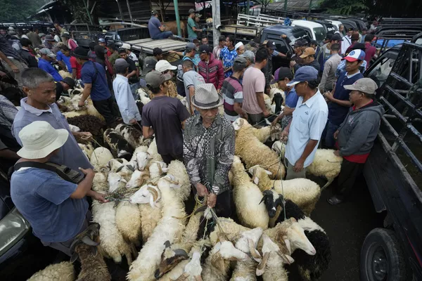 Vendedores de ovejas y cabras en vísperas del Eid al-Fitr, una de las más importantes festividades del islam, en un mercado de ganado en Chonggol, Java Occidental, Indonesia. Vendedores de ovejas y cabras en vísperas del Eid al-Fitr, una de las más importantes festividades del islam, en un mercado de ganado en Chonggol, Java Occidental, Indonesia. - Sputnik Mundo