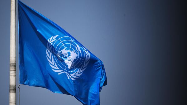 La bandera de la ONU - Sputnik Mundo