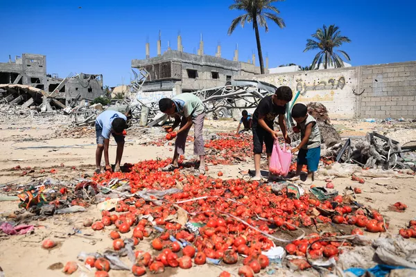 Niños palestinos recogen tomates esparcidos por la carretera tras caer de un camión que transportaba ayuda humanitaria, en el sur de la Franja de Gaza. Niños palestinos recogen tomates esparcidos por la carretera tras caer de un camión que transportaba ayuda humanitaria, en el sur de la Franja de Gaza. - Sputnik Mundo