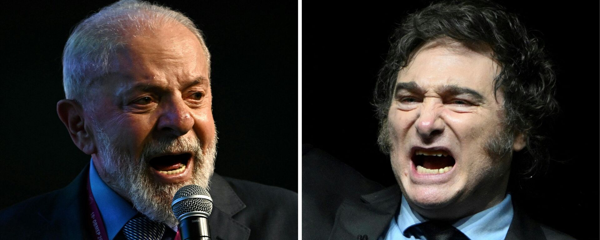Lula da Silva y Javier Milei  - Sputnik Mundo, 1920, 15.07.2024