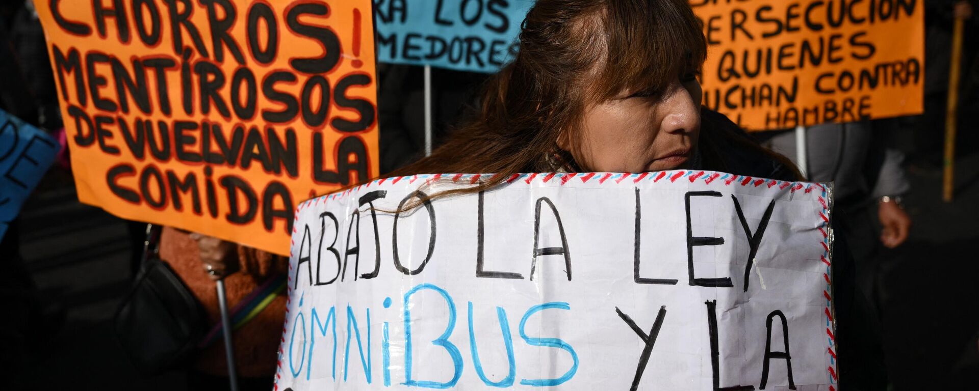 Manifestantes en contra de la política económica de Javier Milei  - Sputnik Mundo, 1920, 17.07.2024