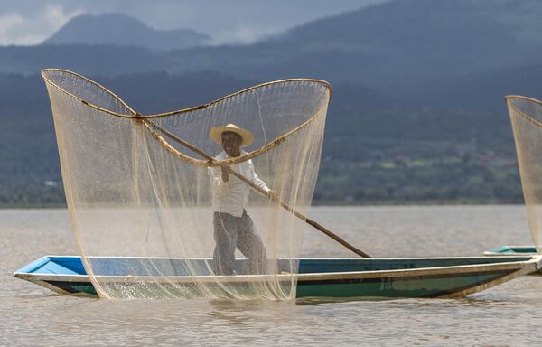 Un hombre pescando en el lago de Pátzcuaro, México. - Sputnik Mundo
