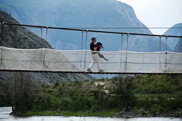 Un hombre con un perro en un puente sobre el río Chulyshman, en el valle del mismo nombre. - Sputnik Mundo