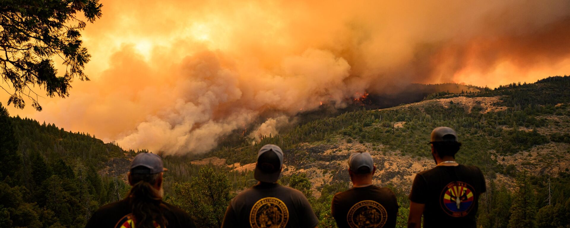 Los bomberos observan cómo las llamas y el humo se mueven a través de un valle en el área de Forest Ranch, en el condado de Butte, mientras el incendio Park continúa ardiendo cerca de Chico, California - Sputnik Mundo, 1920, 30.07.2024