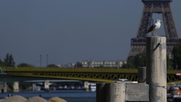 Una gaviota a orillas del Sena con la Torre Eiffel de fondo en París, el 23 de septiembre de 2021 - Sputnik Mundo