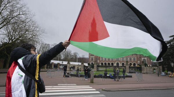 Bandera de Palestina - Sputnik Mundo