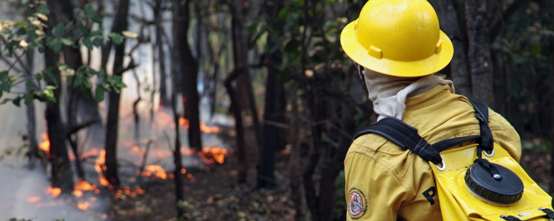 Brasil moviliza a más de 1.400 brigadistas en incendios en la Amazonía - Sputnik Mundo, 1920, 12.09.2024