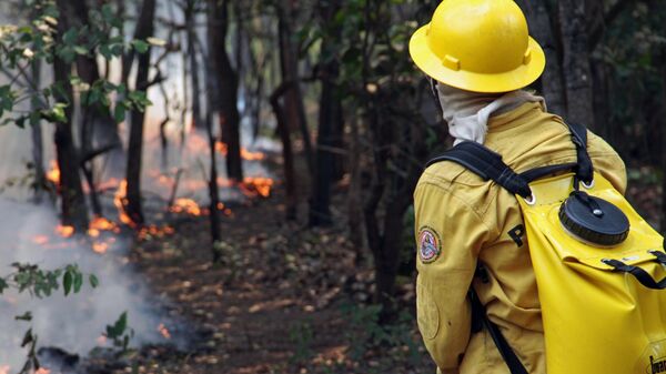 Brasil moviliza a más de 1.400 brigadistas en incendios en la Amazonía - Sputnik Mundo