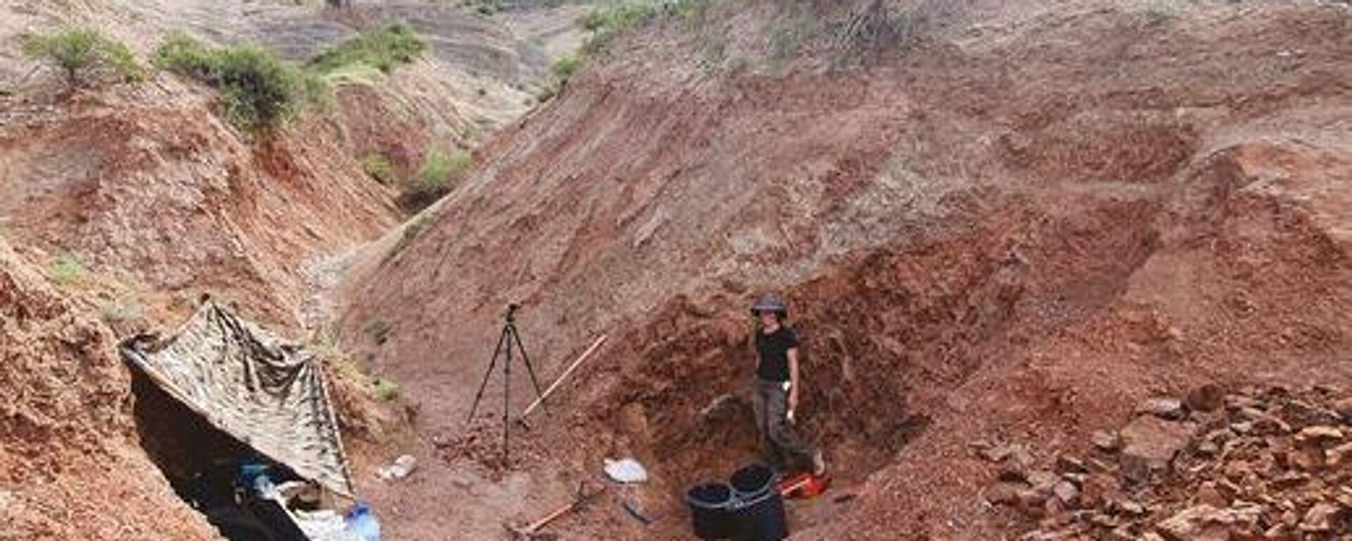 Excavaciones cerca de la ciudad de Tash Komur, en el sur de Kirguistán - Sputnik Mundo, 1920, 22.08.2024