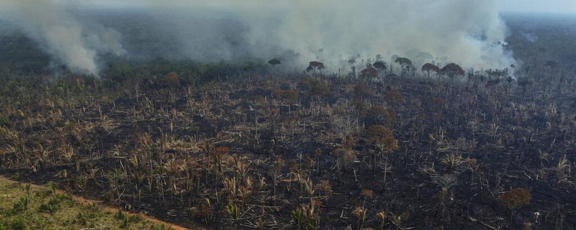 El humo se eleva desde un incendio forestal en la región de la carretera Transamazónica, en el municipio de Lábrea, estado de Amazonas, Brasil - Sputnik Mundo, 1920, 27.09.2024