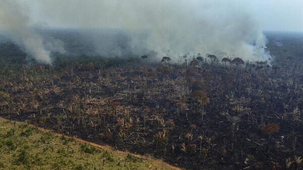 El humo se eleva desde un incendio forestal en la región de la carretera Transamazónica, en el municipio de Lábrea, estado de Amazonas, Brasil - Sputnik Mundo