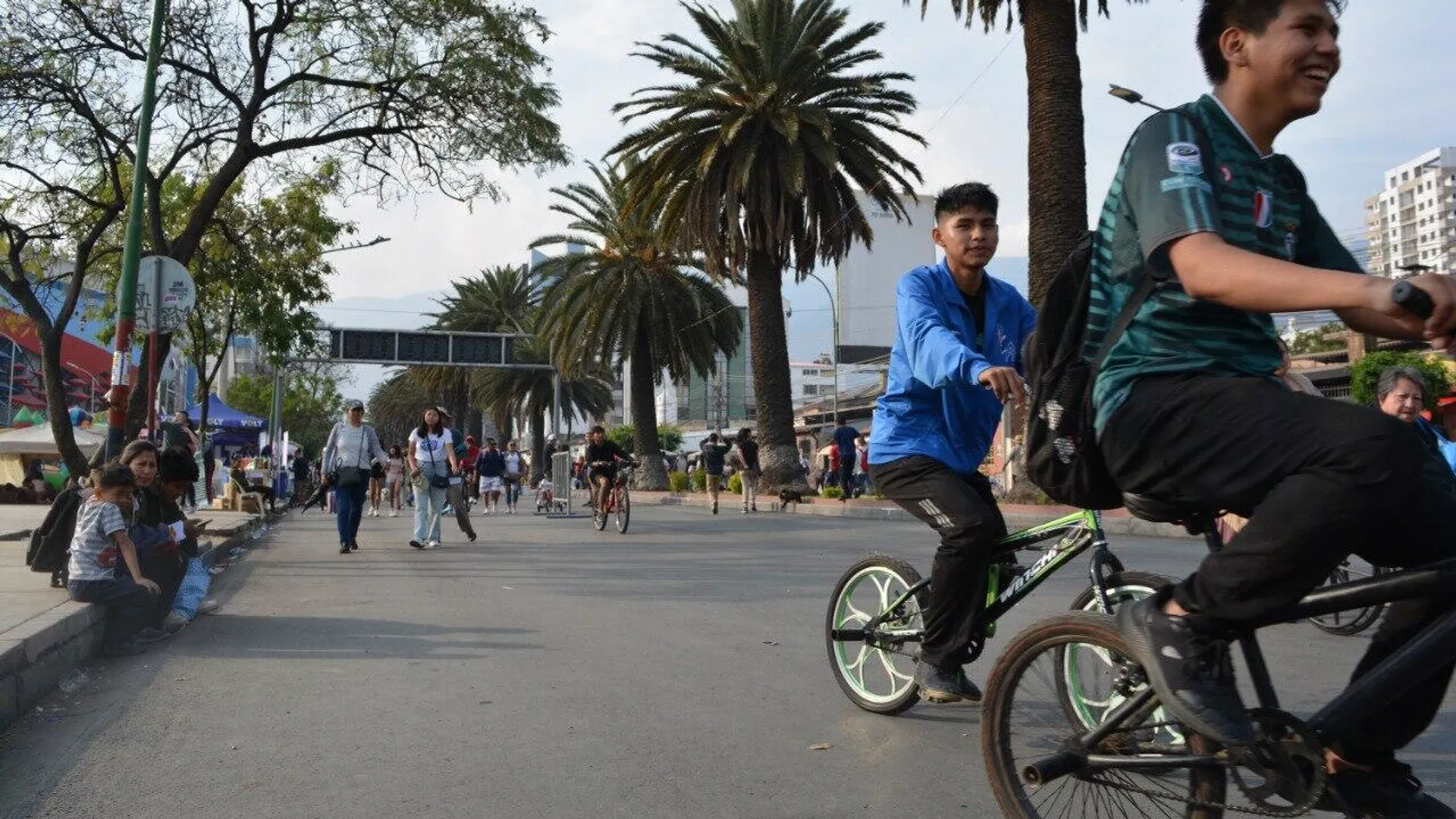 Conmemoración del Día del Peatón y del Ciclista en Defensa de la Madre Tierra en Bolivia - Sputnik Mundo, 1920, 02.09.2024