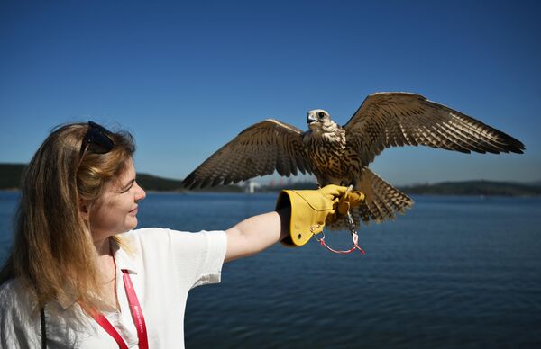 En el marco del foro, tuvo lugar la inauguración del pabellón de la Casa Halcón. Este acto formaba parte del foro internacional Día del Halcón, dedicado a la conservación y el estudio de las aves rapaces.Los visitantes no solo pudieron ver halcones adiestrados, sino también escuchar conferencias sobre ellos. - Sputnik Mundo