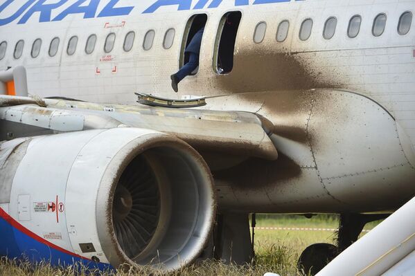 En la categoría de Noticias principales, la mejor foto individual fue el trabajo del autor de Novosibirsk Vladislav Nekrasov Su deber.Se trata sobre el piloto de un avión de pasajeros de Ural Airlines que realizó un aterrizaje de emergencia en un campo de la región rusa de Novosibirsk. - Sputnik Mundo