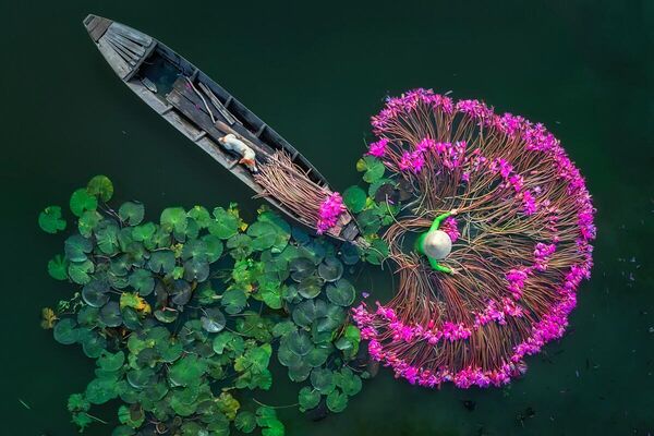 La categoría Vista desde arriba la ganó el fotógrafo Aung Chan Thar, de Birmania, con su obra Flores de lirio.Por la mañana, los vietnamitas limpian suavemente los lirios con agua, resaltando su belleza natural. A vista de pájaro, este sencillo ritual parece una elegante danza de intrincados dibujos y coloridas flores sobre el sereno paisaje. - Sputnik Mundo