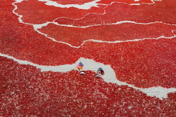 Tercer puesto en la categoría Vista desde arriba por su foto individual fue para Abdul Momin, Bangladesh.De la tierra a los pimientos muestra como trabajadores recogen cuidadosamente pimientos rojos brillantes colocados en un asador de arena para que se sequen al sol. - Sputnik Mundo