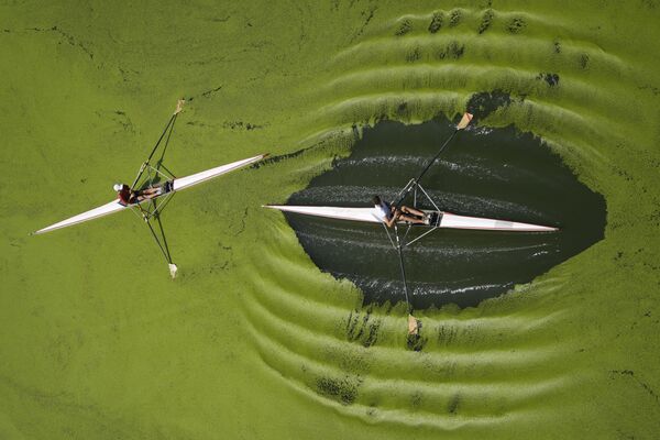 Remeros en el río Sava, en la capital serbia de Belgrado. - Sputnik Mundo