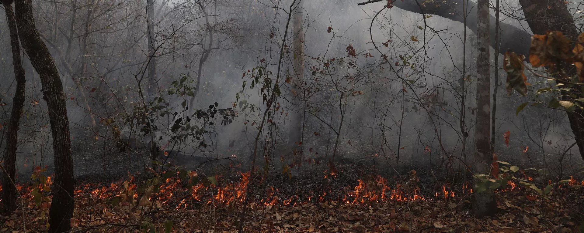 Incendios forestales en el bosque de Chiquitania cerca de Robore, Bolivia, el lunes 26 de agosto de 2019 (imagen referencial)  - Sputnik Mundo, 1920, 07.09.2024