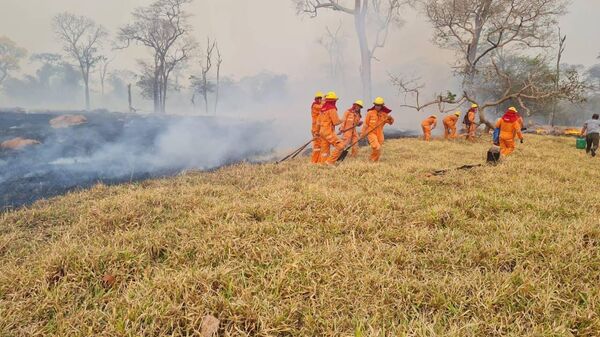 Bomberos bolivianos trabajan en las labores para apagar el fuego en los departamentos de Santa Cruz, Beni y Pando - Sputnik Mundo