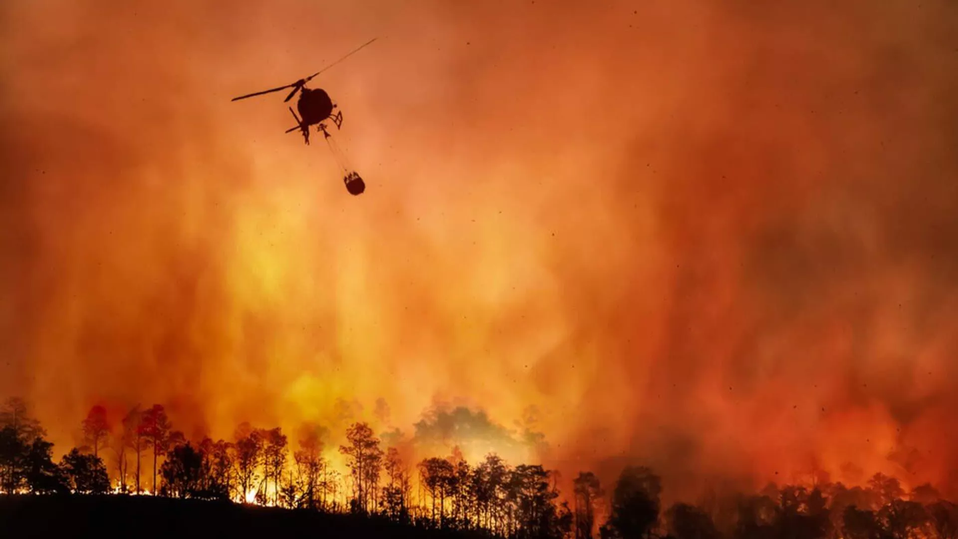 Incendios en brasil  - Sputnik Mundo, 1920, 10.09.2024