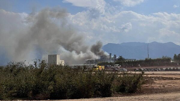 Un incendio en una fábrica de pastas en Turquía - Sputnik Mundo