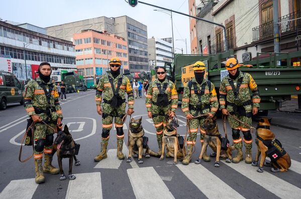 Integrantes del Plan DN-III, el cual se despliega ante la presencia de fuertes fenómenos naturales, participaron en el desfile con sus binomios caninos. - Sputnik Mundo