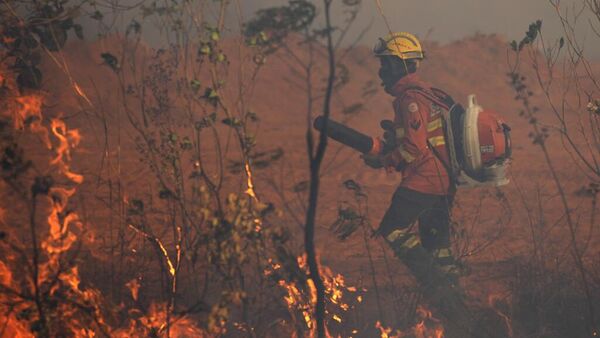 Un bombero apaga un incendio en el Parque Nacional de Brasilia - Sputnik Mundo