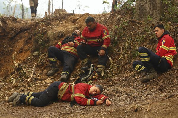 Bomberos descansan durante una pausa en la lucha contra los incendios en las afueras de Sever do Vouga, una ciudad en el norte de Portugal que ha estado rodeada de incendios forestales durante varios días. - Sputnik Mundo