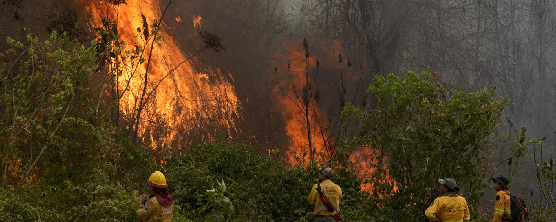 Bomberos voluntarios trabajan para apagar un incendio en el bosque de Bolivia, el 13 de septiembre de 2024 - Sputnik Mundo, 1920, 25.09.2024