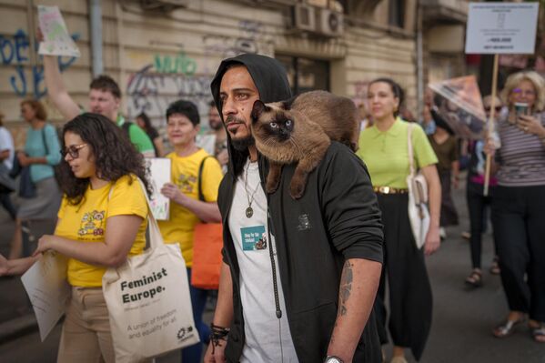 La gata Catalina se sienta en el hombro de su dueño, Sam, durante una marcha de activistas y simpatizantes de los derechos de los animales para pedir a las autoridades rumanas que cumplan más rigurosamente la legislación vigente sobre protección y bienestar de los animales, en Bucarest, Rumanía. - Sputnik Mundo