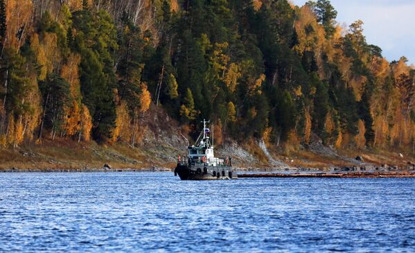 Un remolcador en el río Angara, cerca del pueblo de Strelka, región de Krasnoyarsk. - Sputnik Mundo