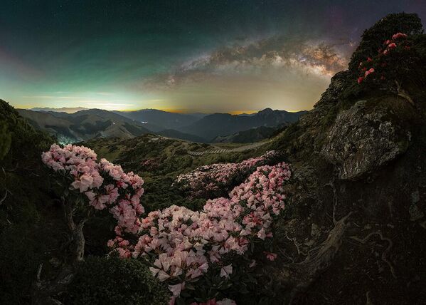 Nominación: Ganador del premio GigapixelAutor: Ethan Su (Taiwán)Obra: Florecimiento, parque natural de Hehuan - Sputnik Mundo