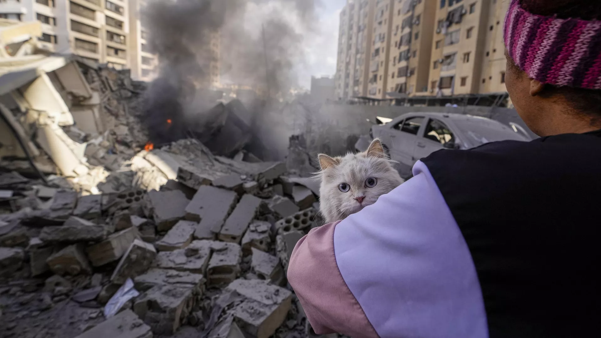Mujer sostiene a su gato en el lugar de un ataque aéreo israelí en Beirut, Líbano, el 2 de octubre de 2024 Mujer sostiene a su gato en el lugar de un ataque aéreo israelí en Beirut, Líbano, el 2 de octubre de 2024