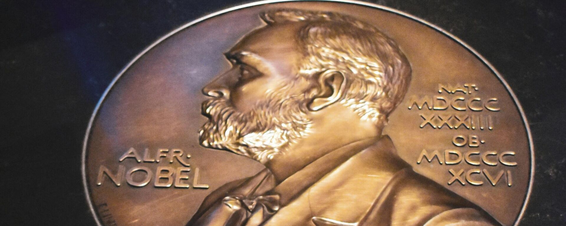 Medalla de oro del Premio Nobel - Sputnik Mundo, 1920, 08.10.2024