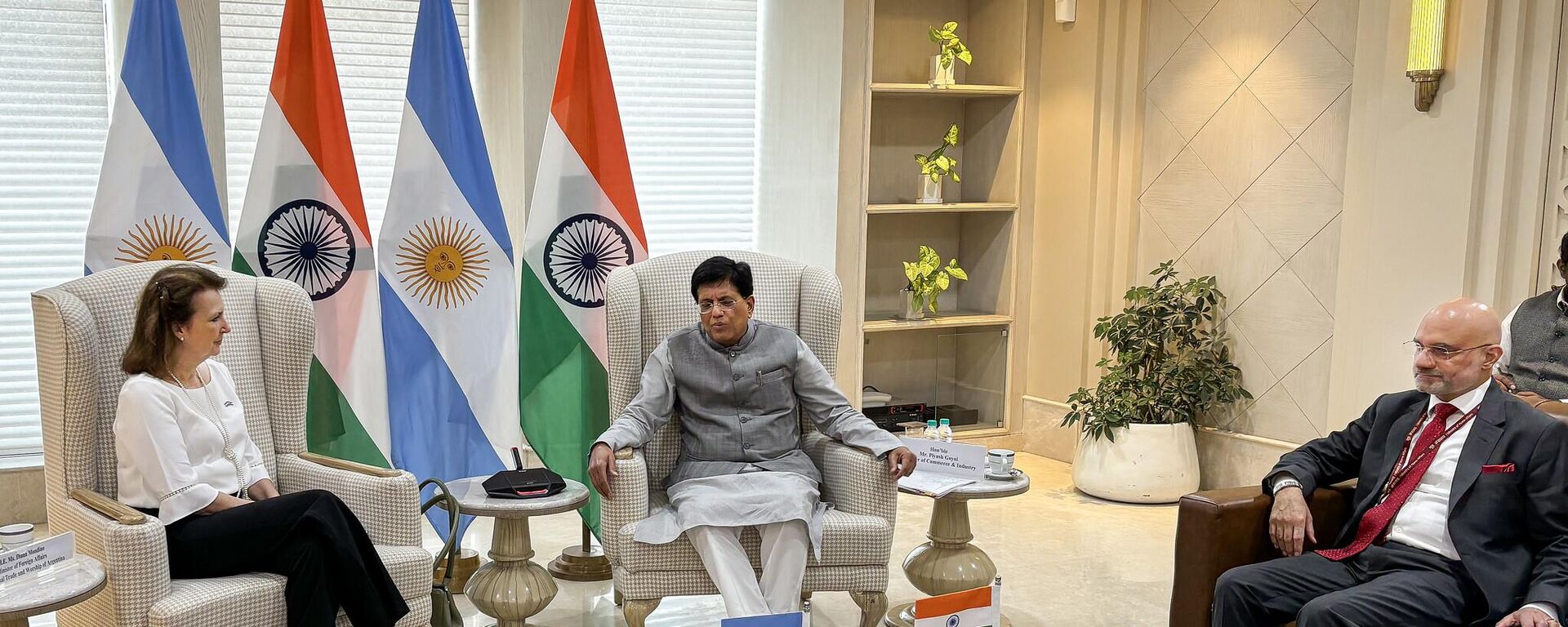 La canciller argentina, Diana Mondino, junto al ministro de Comercio e Industria de India, Piyush Goyal - Sputnik Mundo, 1920, 09.10.2024