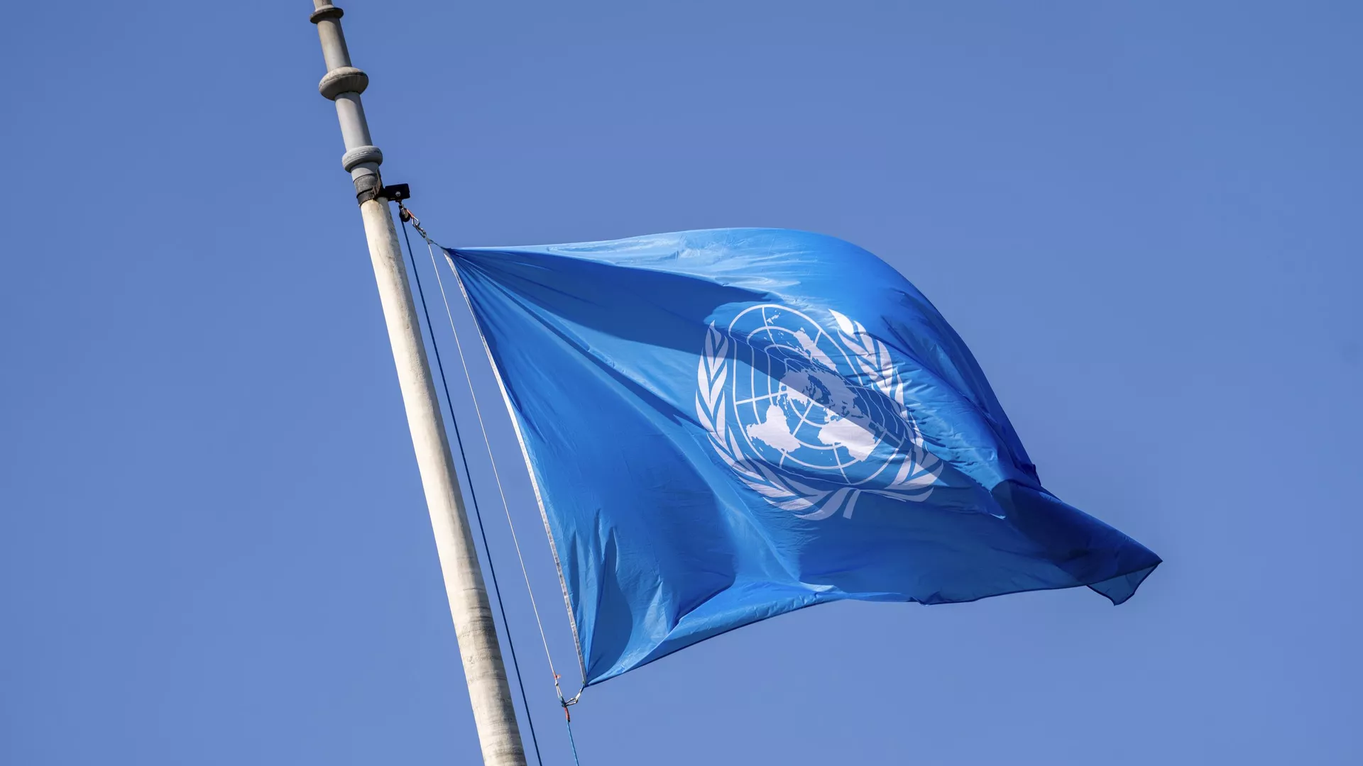 Bandera de la ONU