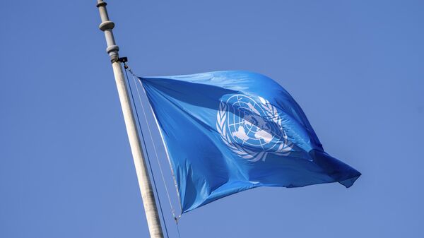 Bandera de la ONU - Sputnik Mundo