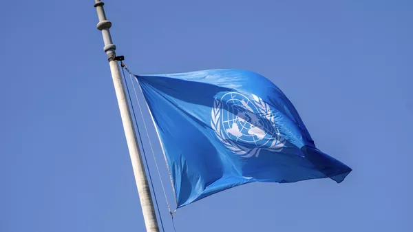 Bandera de la ONU - Sputnik Mundo