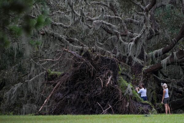 Dos habitantes locales toman fotos de un árbol arrancado en la ciudad de Odessa, Florida. - Sputnik Mundo