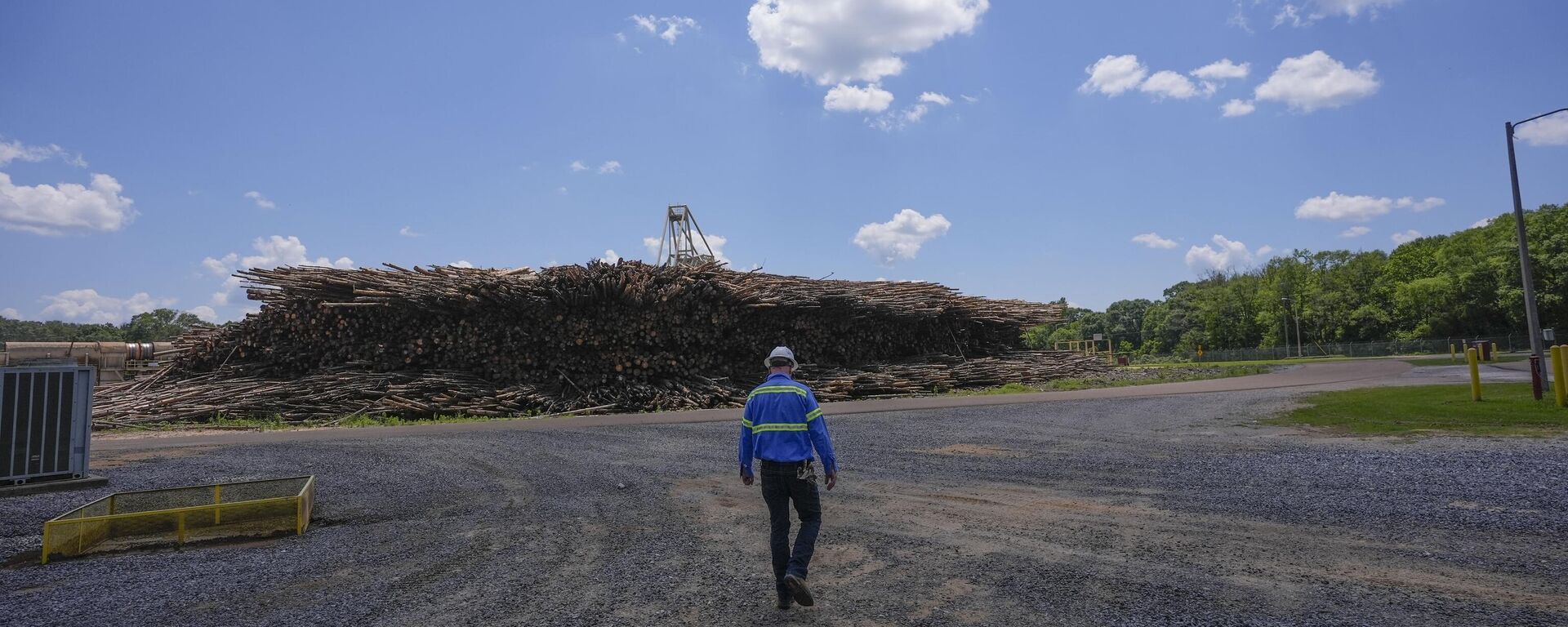 Madera utilizada por la empresa energética británica Drax Madera utilizada por la empresa energética británica Drax - Sputnik Mundo, 1920, 17.10.2024